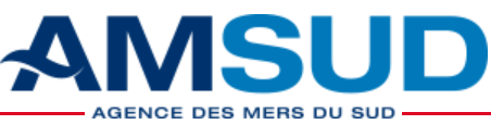Logo AMSUD